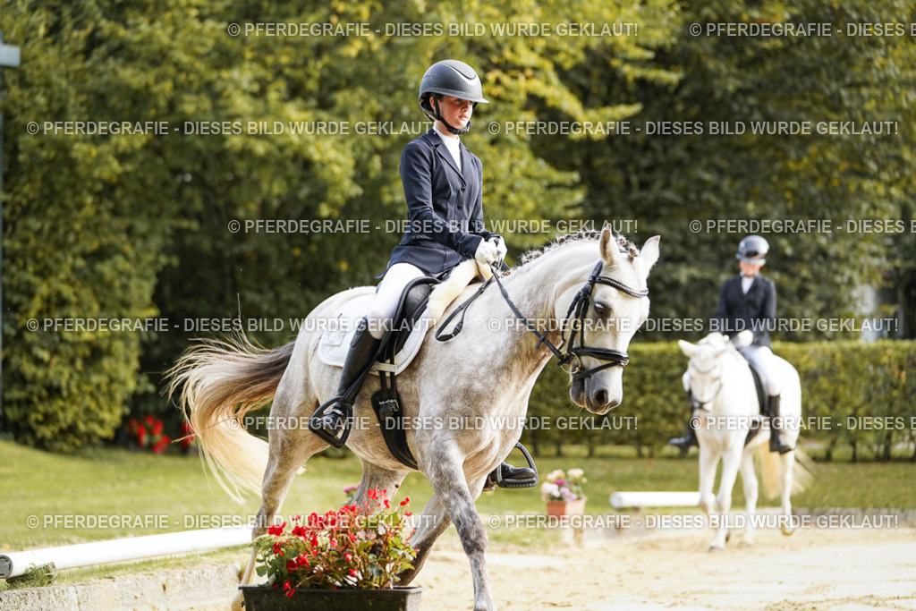 DSC05459 | Pferdegrafie