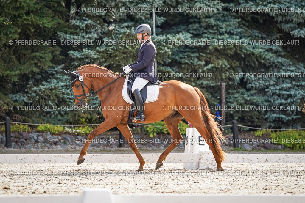 DSC06646 | Pferdegrafie