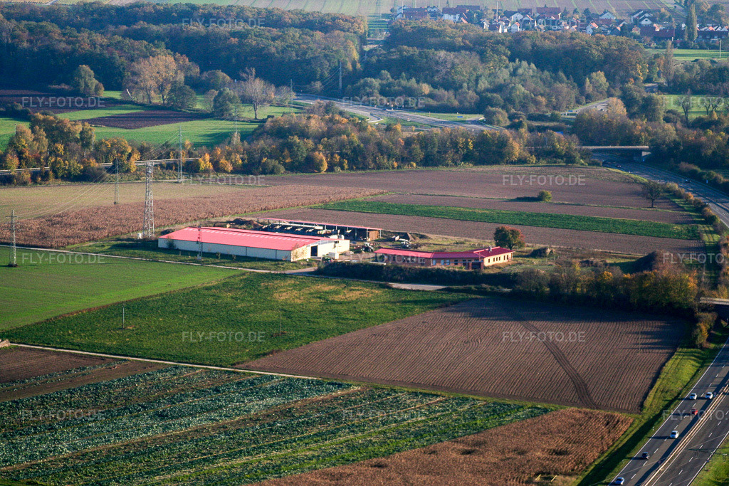 Luftbild: Hühnerhof Eierfarm in Erlenbach bei Kandel im Bundesland Rheinland-Pfalz in Deutschland. Foto: IMG_14384.jpg vom 25.10.2008 durch Werner Riehm/FLY-FOTO.de