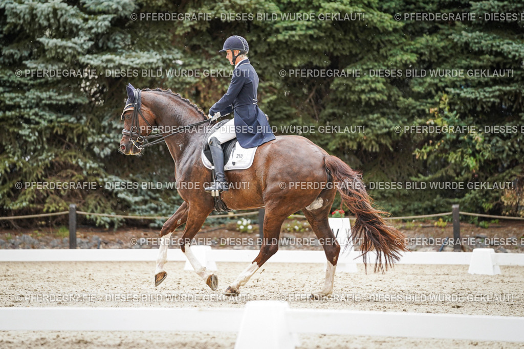 DSC07859 | Pferdegrafie