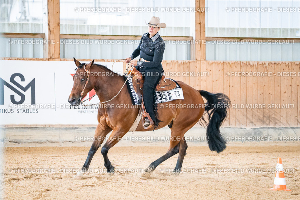 DSC01661 | Pferdegrafie