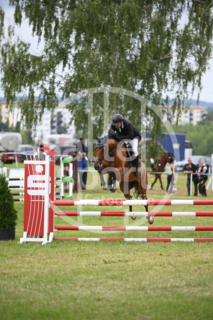 DSC_1368 | sattelsport - Realisiert mit Pictrs.com