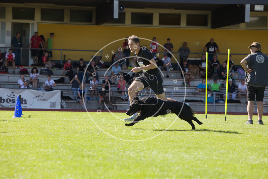 0L8A8323 | Hundefotografie, Tierfotograf, Pfotenfotografie, Fotoshooting Hund, Hunde Portrait, Hundesport, Hundeportraits, Heideshooting, Hunde, Sportfotograf, Hundefotograf, Turnierhundsport, THS,  - Realisiert mit Pictrs.com