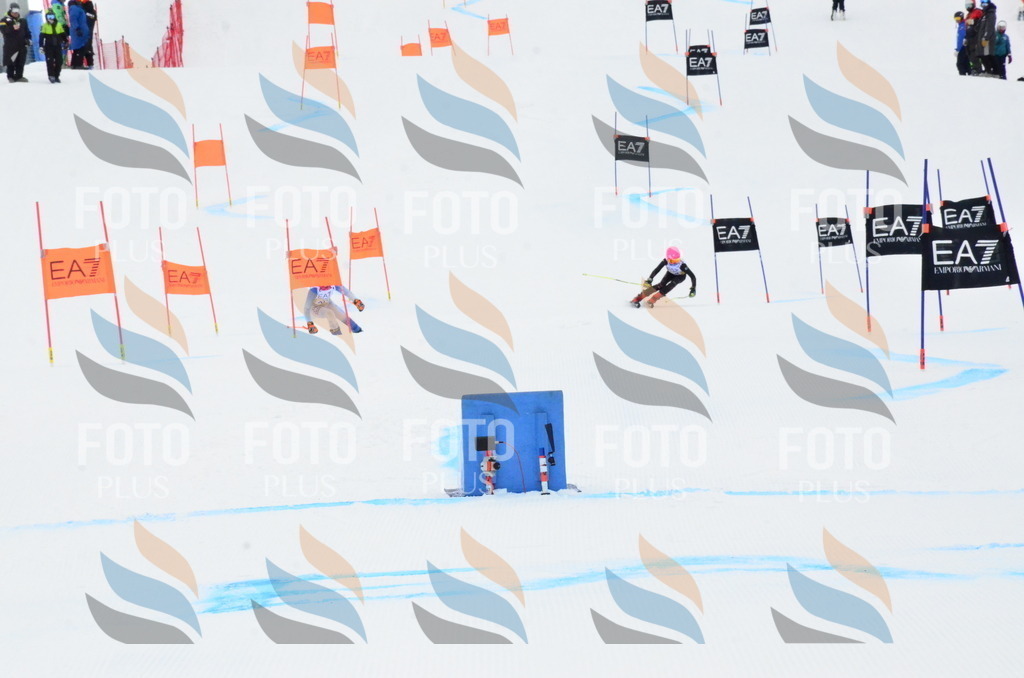 _ELE3548 | holidayphoto