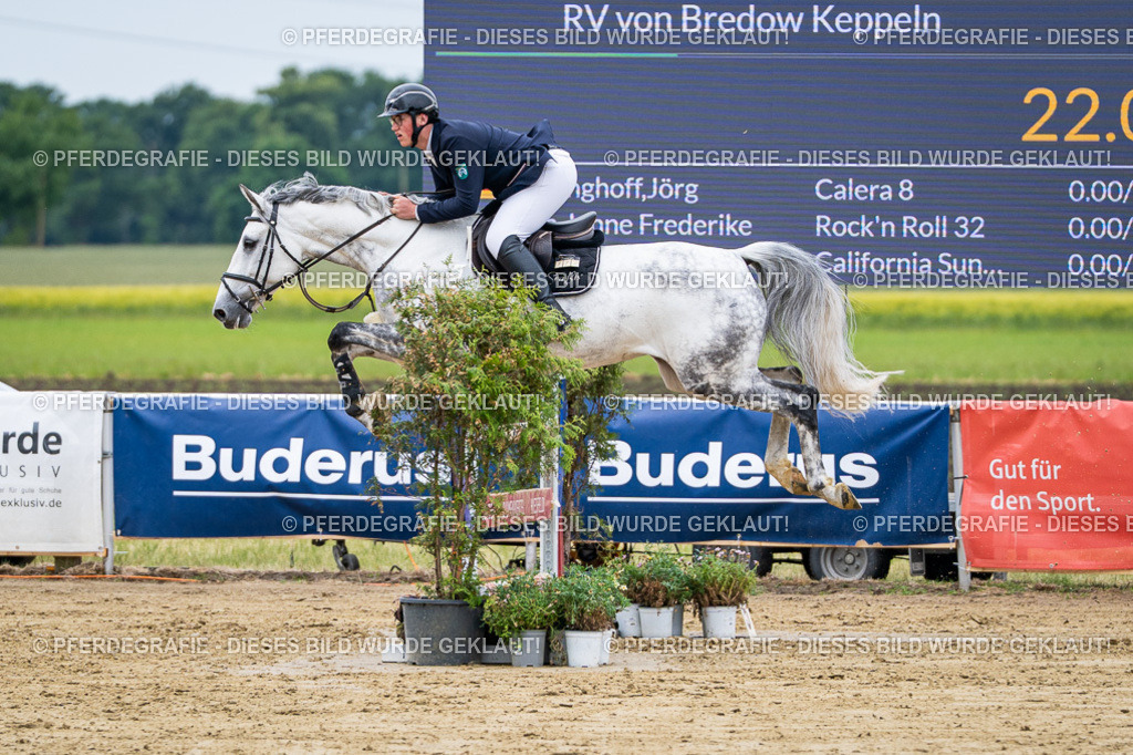 DSC04804 | Pferdegrafie