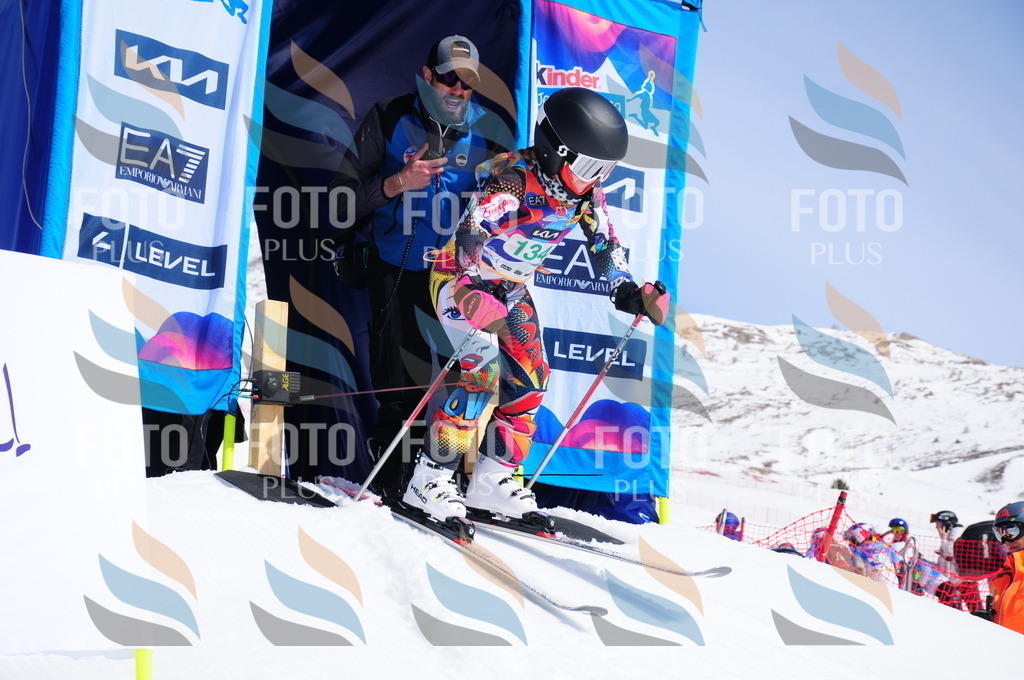 DSC_1139 | holidayphoto