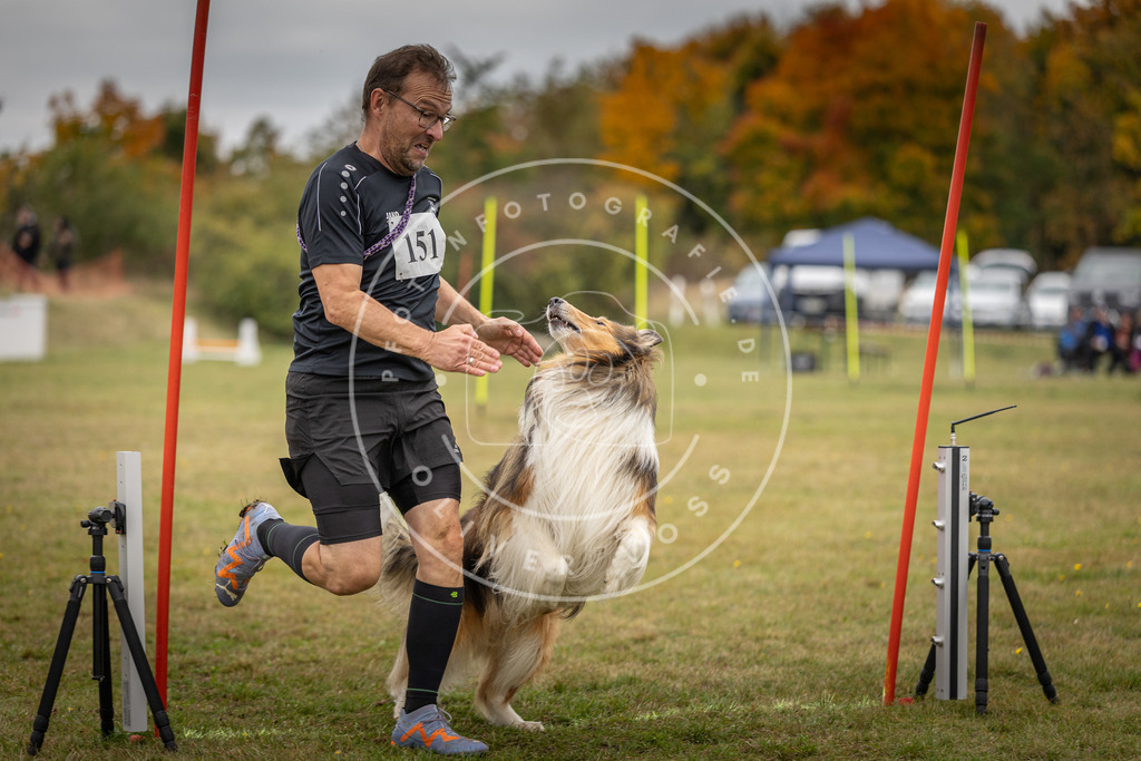 Pfotenfotografie_DV3A6408 | Hundefotografie, Tierfotograf, Pfotenfotografie, Fotoshooting Hund, Hunde Portrait, Hundesport, Hundeportraits, Heideshooting, Hunde, Sportfotograf, Hundefotograf, Turnierhundsport, THS,  - Realisiert mit Pictrs.com