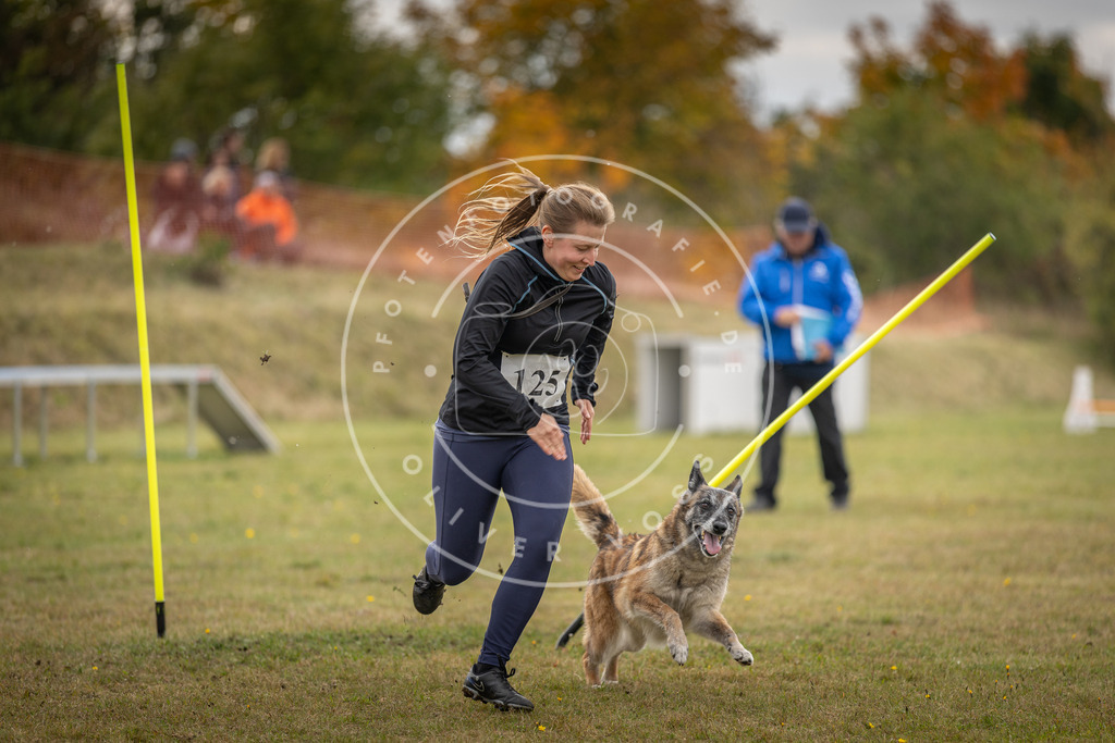 Pfotenfotografie_DV3A6930 | Hundefotografie, Tierfotograf, Pfotenfotografie, Fotoshooting Hund, Hunde Portrait, Hundesport, Hundeportraits, Heideshooting, Hunde, Sportfotograf, Hundefotograf, Turnierhundsport, THS,  - Realisiert mit Pictrs.com