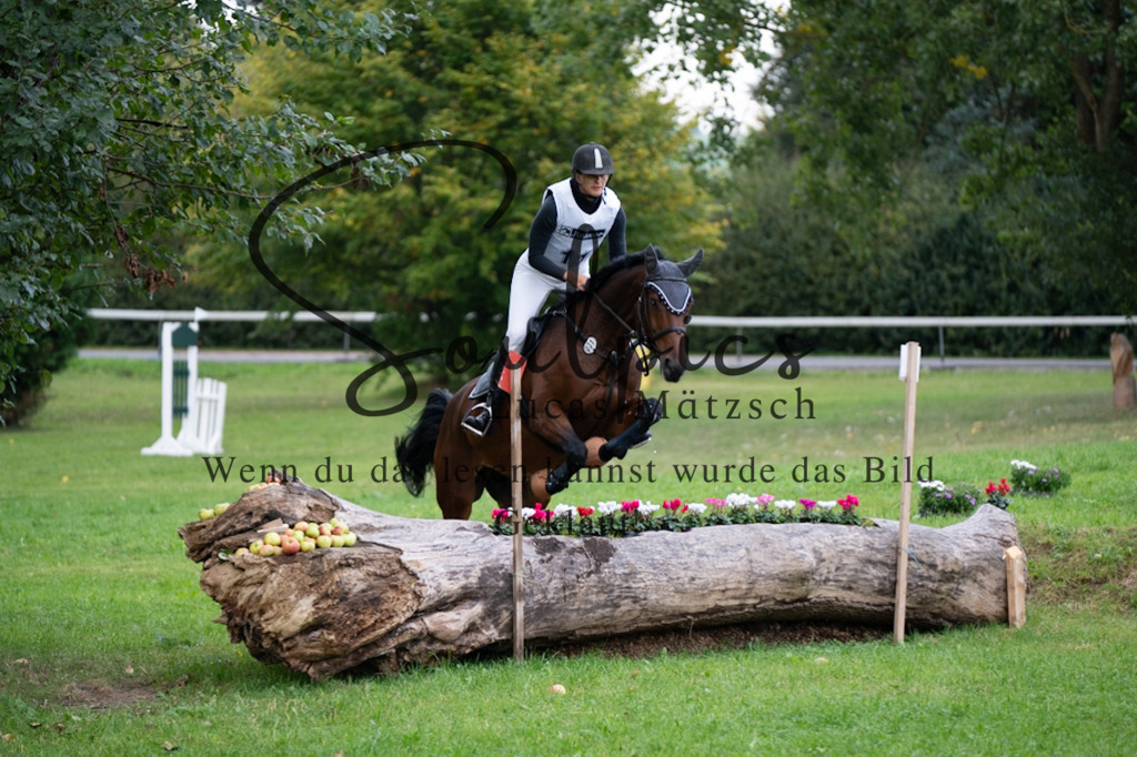 A7V02933 | Turnier/Reitfotograf