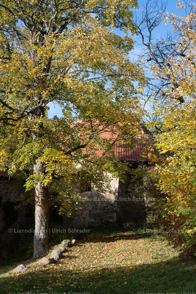 10049-12611 - Schloßpark Ilsenburg im Harz | Stockfoto und Bilderpool mit Bildmaterial aus Deutschland, dem Harz, Halberstadt, Quedlinburg, Wernigerode und weltweit. Qualitativ hochwertige und professionelle Fotos anschauen und kaufen. - Realisiert mit Pictrs.com