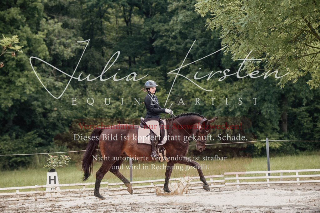 DSC_8660 | Pferde- und Turnierfotografie in Westsachsen. Pferdeportraits, Auftragszeichnungen und intuitive Kunst.