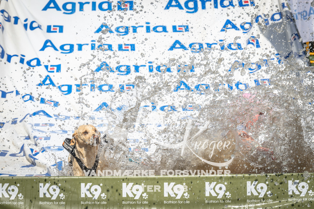 1447_ZZ95996 | kk-dogfotos