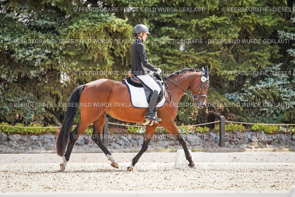 DSC08860 | Pferdegrafie