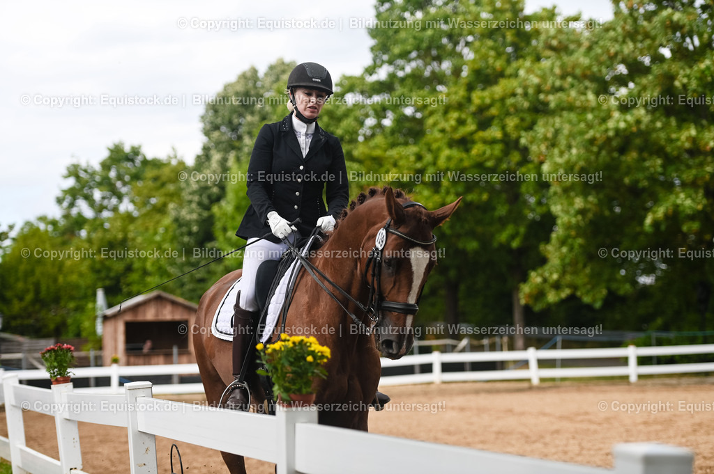 20230716_01_Dressurprüfung Kl.M_0542 | equistock