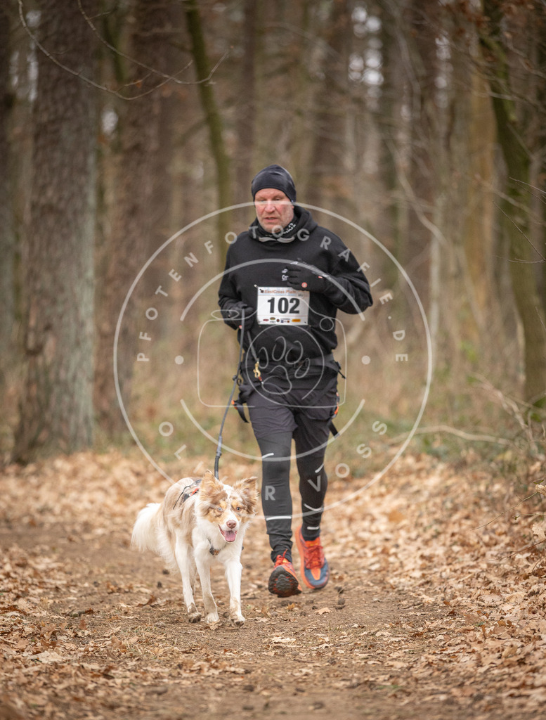 Pfotenfotografie_DV3A7680 | Hundefotografie, Tierfotograf, Pfotenfotografie, Fotoshooting Hund, Hunde Portrait, Hundesport, Hundeportraits, Heideshooting, Hunde, Sportfotograf, Hundefotograf, Turnierhundsport, THS,  - Realisiert mit Pictrs.com