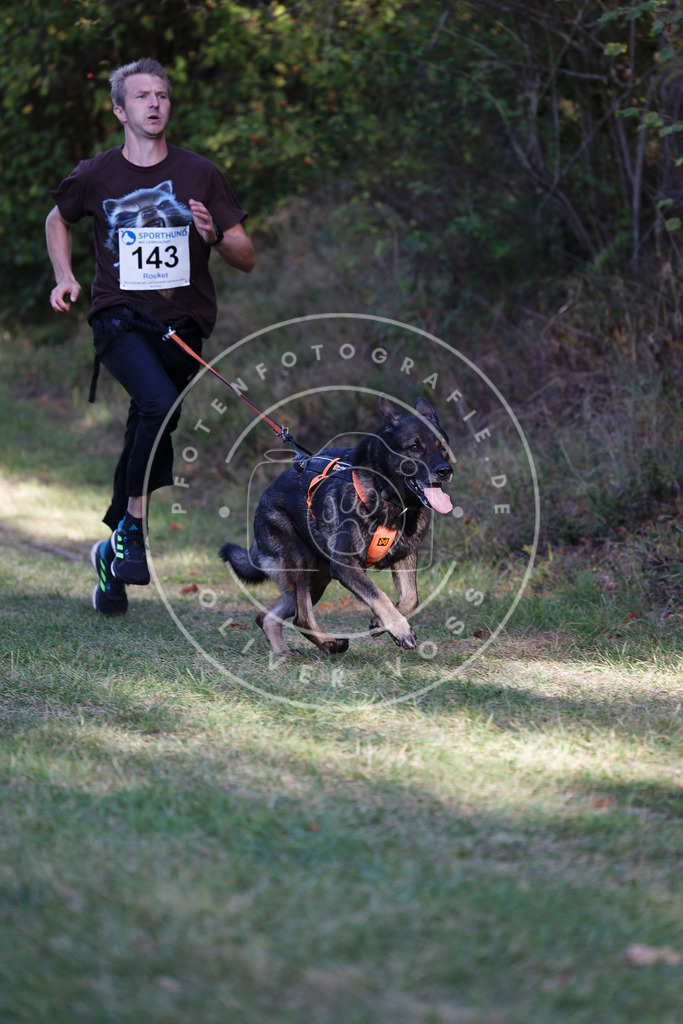 0L8A5141 | Hundefotografie, Tierfotograf, Pfotenfotografie, Fotoshooting Hund, Hunde Portrait, Hundesport, Hundeportraits, Heideshooting, Hunde, Sportfotograf, Hundefotograf, Turnierhundsport, THS,  - Realisiert mit Pictrs.com