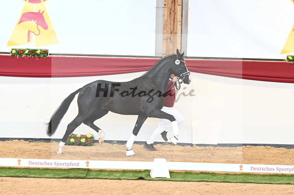 Kat.-Nr. 70 v. Totilas_Fischer_2241040 | hf-fotografie - Realisiert mit Pictrs.com