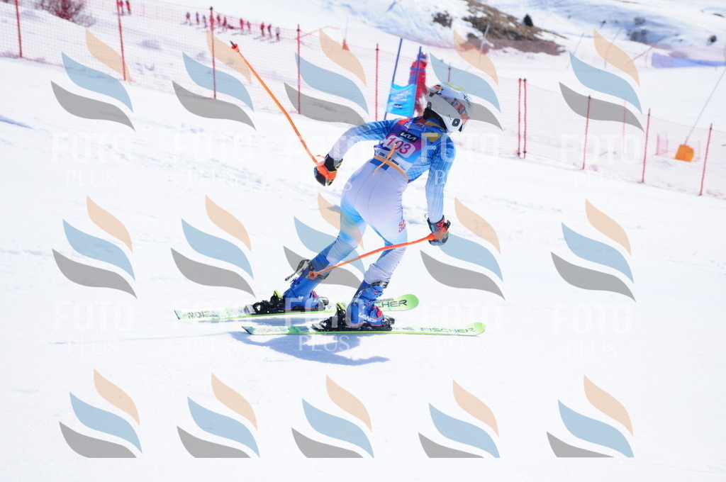 DSC_4784 | holidayphoto