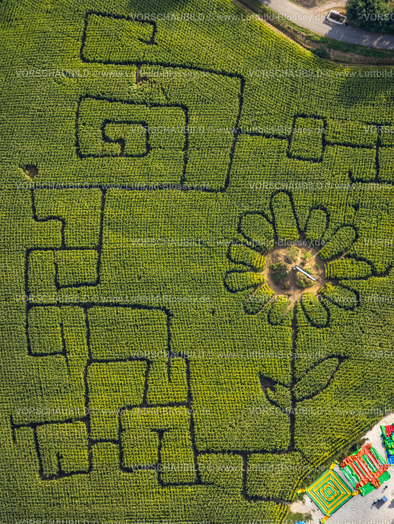 Haltern230905970 | Luftbild, Maislabyrinth Terhardt und Vergnügungspark, Sonnenblume im Feld, Lippramsdorf, Haltern am See, Ruhrgebiet Münsterland, Nordrhein-Westfalen, Deutschland