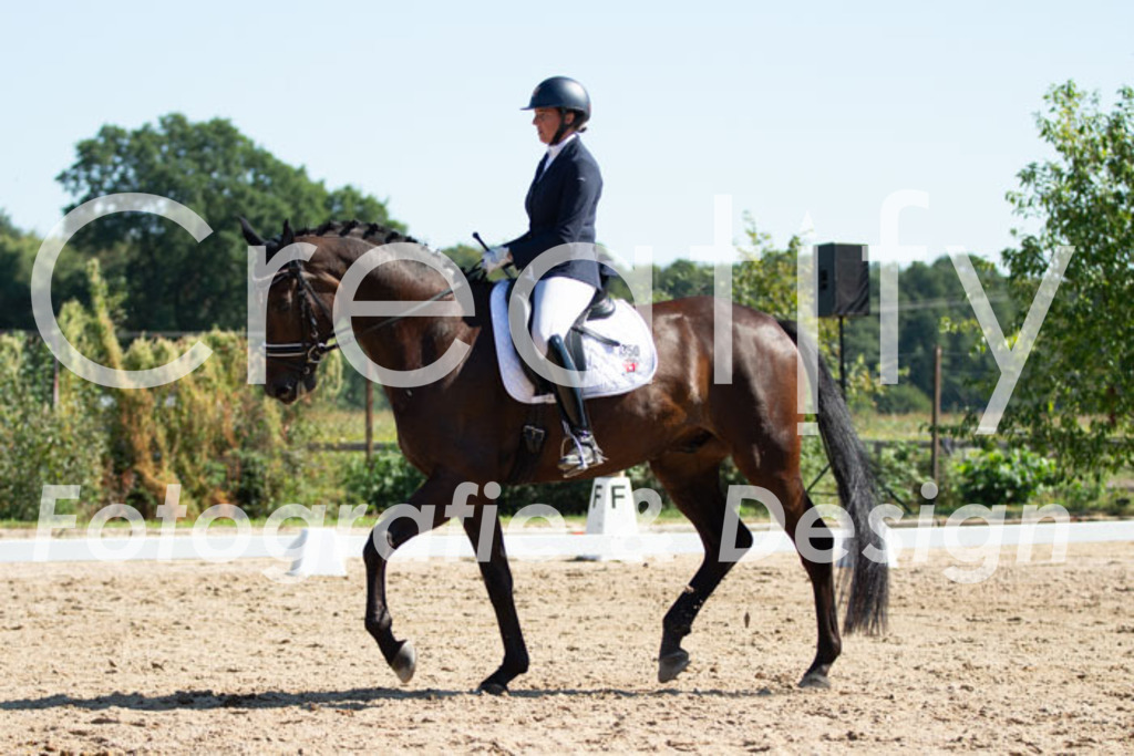 IMG_4390 | Creatify Fotografie