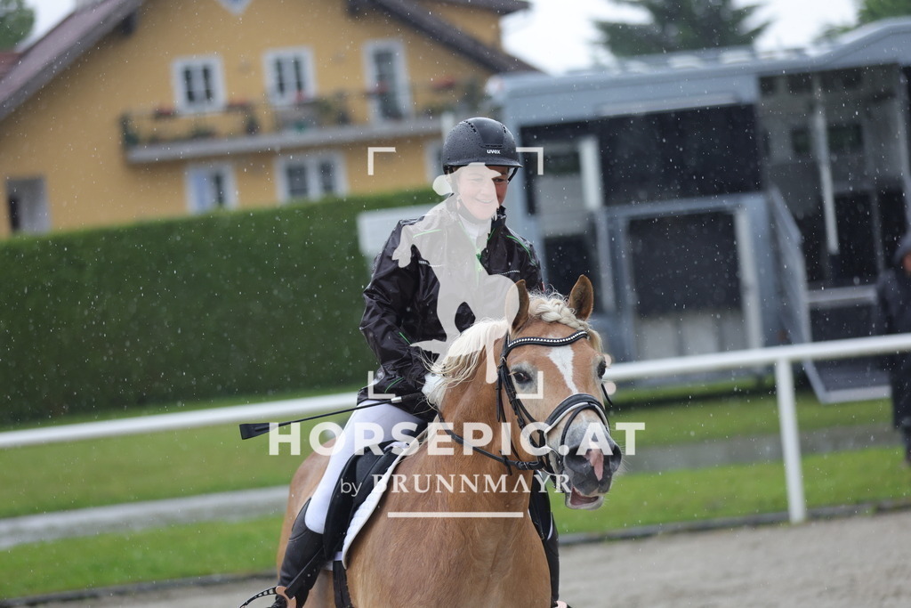 0P6A7732 | Willkommen bei Brunnmayr - Design & Fotografie – Ihrem Spezialisten für Reitturniere und Pferdeveranstaltungen in Oberösterreich, Salzburg und Bayern! Seit über 17 Jahren sind wir leidenschaftlich dabei.