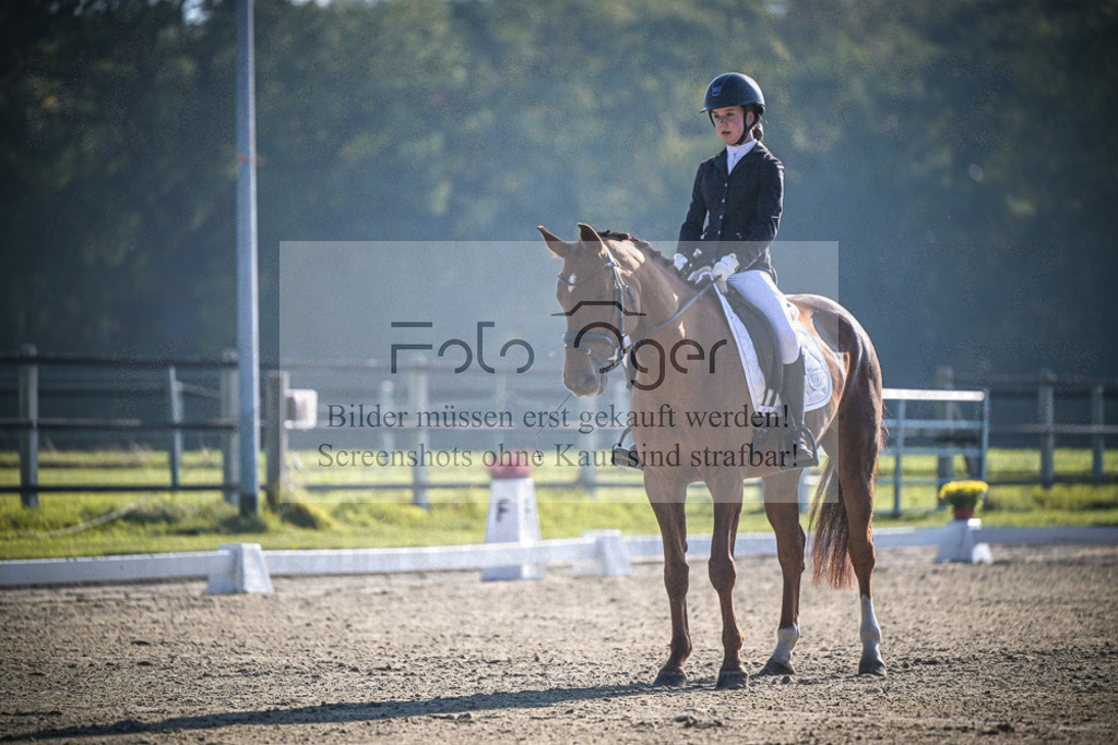 DOS_0975 | Entdecke hochwertige Reitturnierfotos von Foto Oger. Professionell, emotional und authentisch – jetzt Lieblingsmomente im Shop bestellen.Deutschlandweite Turnierfotografie. - Realisiert mit Pictrs.com