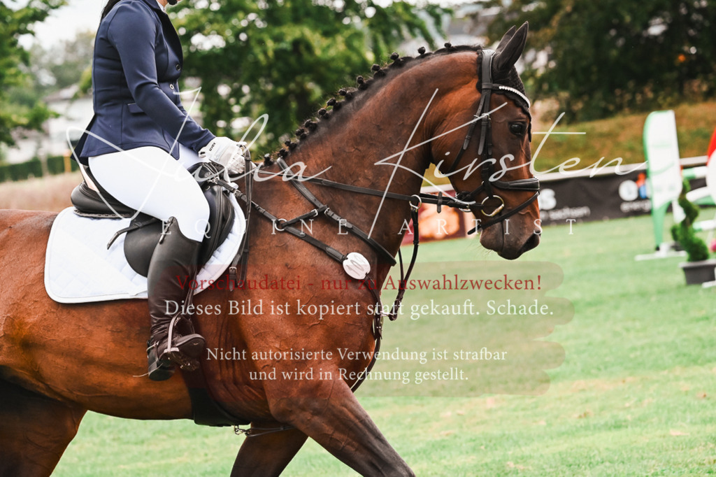 DSC_6006 | Pferde- und Turnierfotografie in Westsachsen. Pferdeportraits, Auftragszeichnungen und intuitive Kunst.