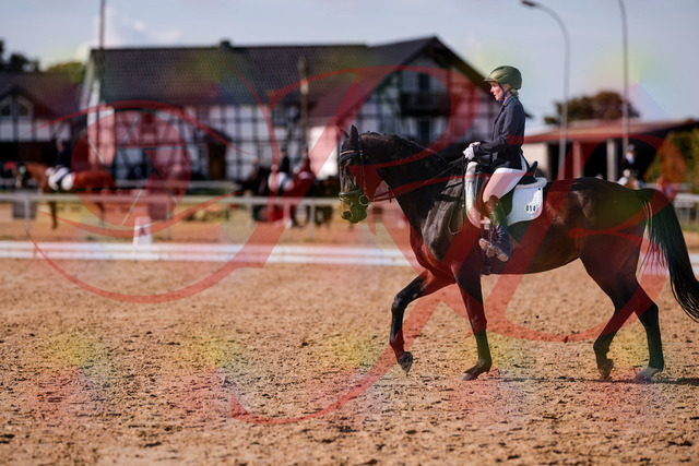 2026_10_03_Siefer-Hof_133851_Z81_97821923 | Professionelle Reitsport-, Turnier- und Eventfotografie von Robert Broda. Galerien mit ausgewählten und bearbeiteten Bildern direkt online ansehen und bestellen.