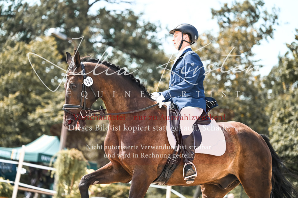 DSC_5438 | Pferde- und Turnierfotografie in Westsachsen. Pferdeportraits, Auftragszeichnungen und intuitive Kunst.