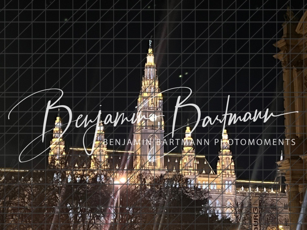 IMG_7359 | Benjamin Bartmann Photomoments