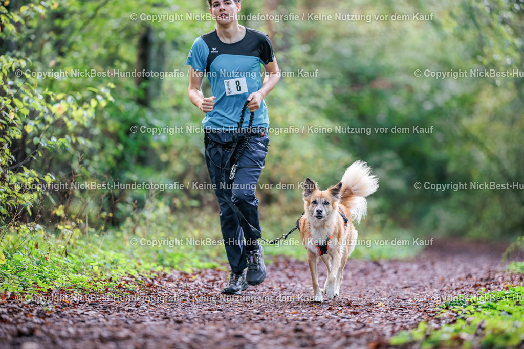 THS-HSV-Blumenthal-2026-Nickbest-Hundefotografie-0746 | Dein Hund! Dein Moment! Deine Erinnerungen! Hundefotografie in Bremen Blumenthal. Ich fange die besonderen Momente deines Vierbeiners ein – ob Indoor mit Blitzanlage oder in der freien Natur. Sicher dir dein Moment und dein Termin für eure Erinnerungen.
