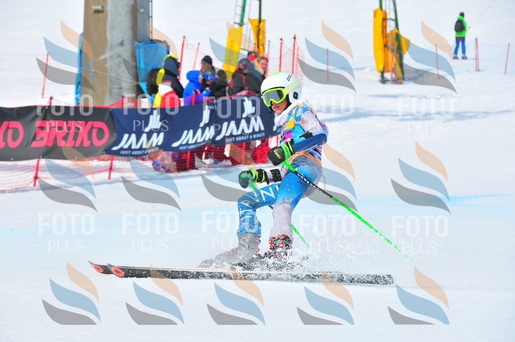 DSC_5872 | holidayphoto