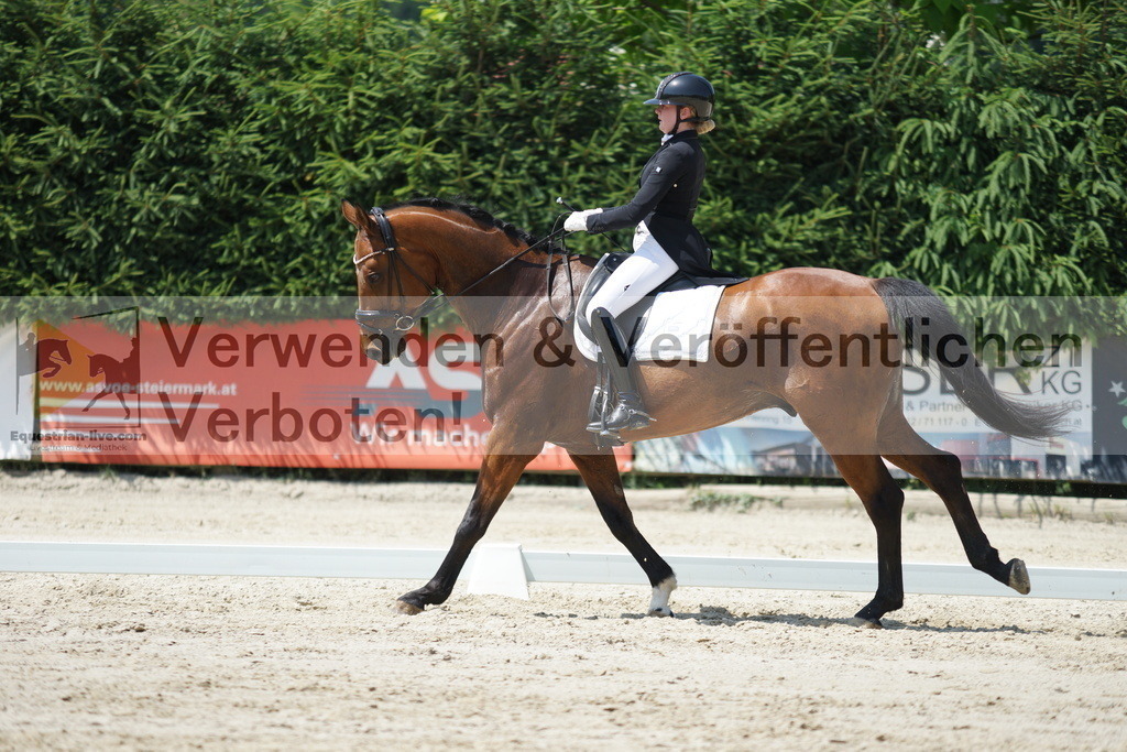 DSC05186 | equestrian-live-com