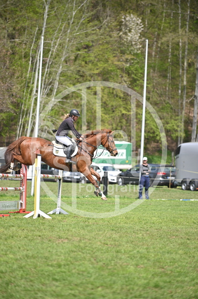 DSC_2542 | sattelsport - Realisiert mit Pictrs.com