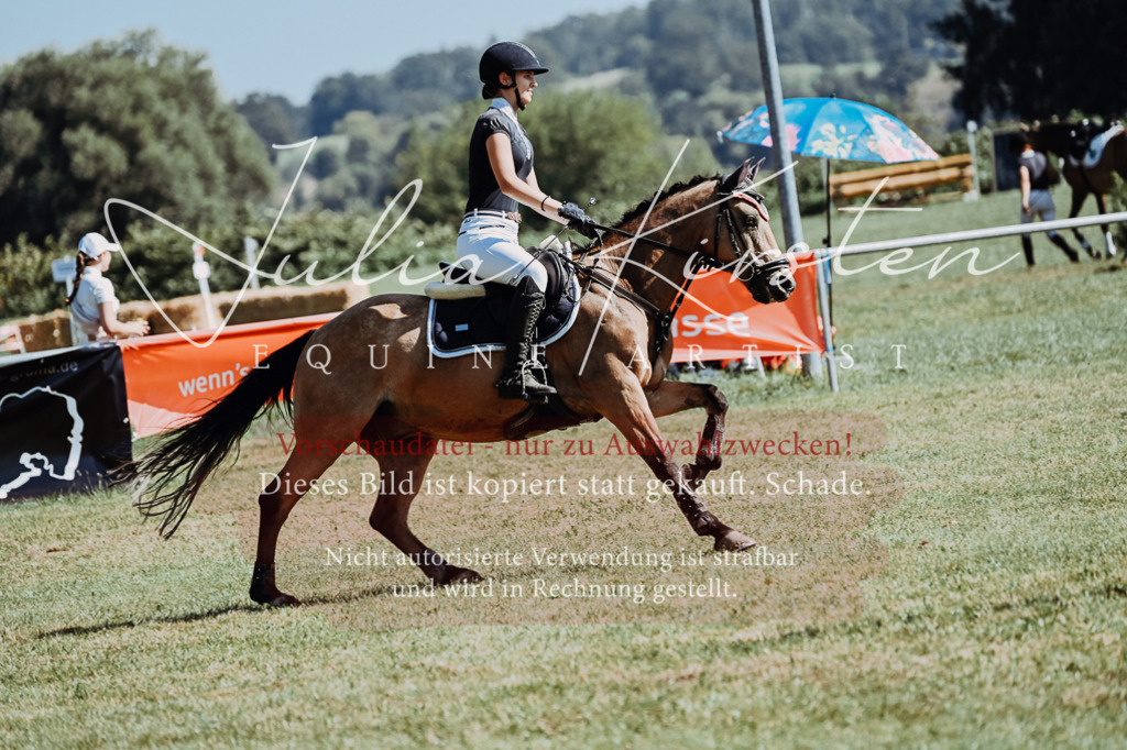 DSC_6044 | Pferde- und Turnierfotografie in Westsachsen. Pferdeportraits, Auftragszeichnungen und intuitive Kunst.