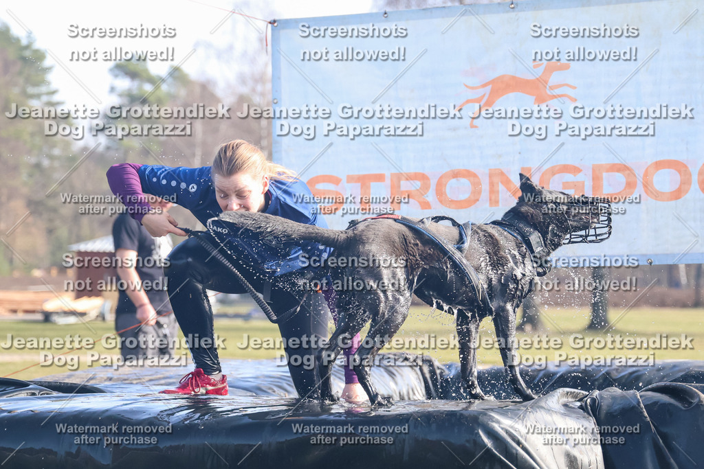 Dog Paparazzi - Strongdog North Mrz26-952 | Dog Paparazzi Jeanette Grottendiek Fotografie & Videografie - Realisiert mit Pictrs.com