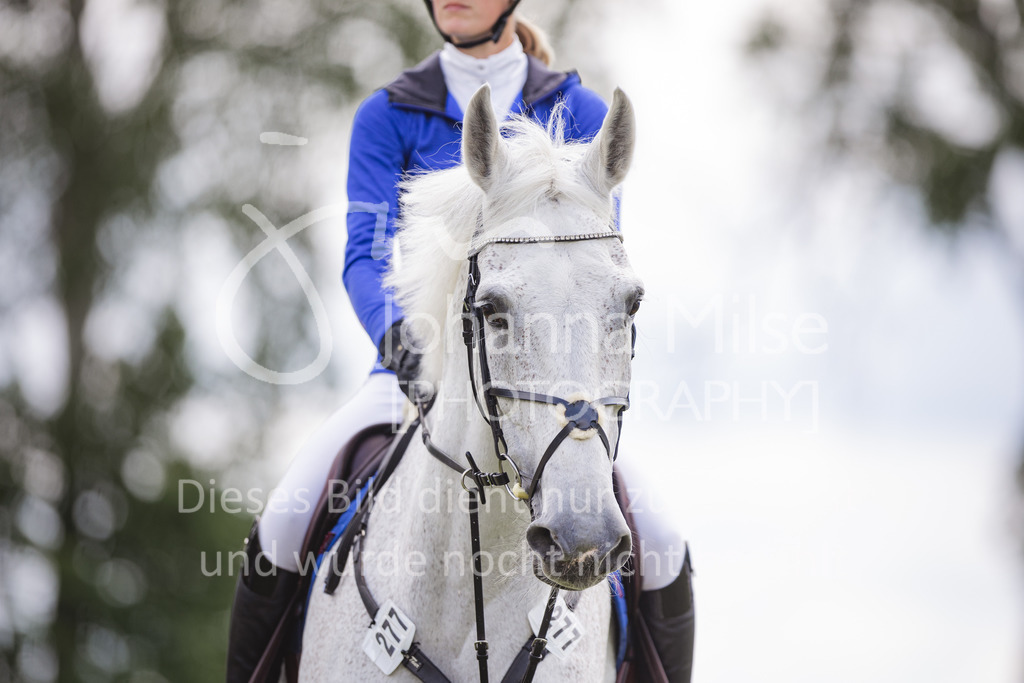 220602_CSI-Wohlde_YoungsterTour-217 | CSIYH1* - Internationale Zweiphasenspringprüfung (1,35 m) 
Youngster Tour für 7jährige Pferde
02.06.2022