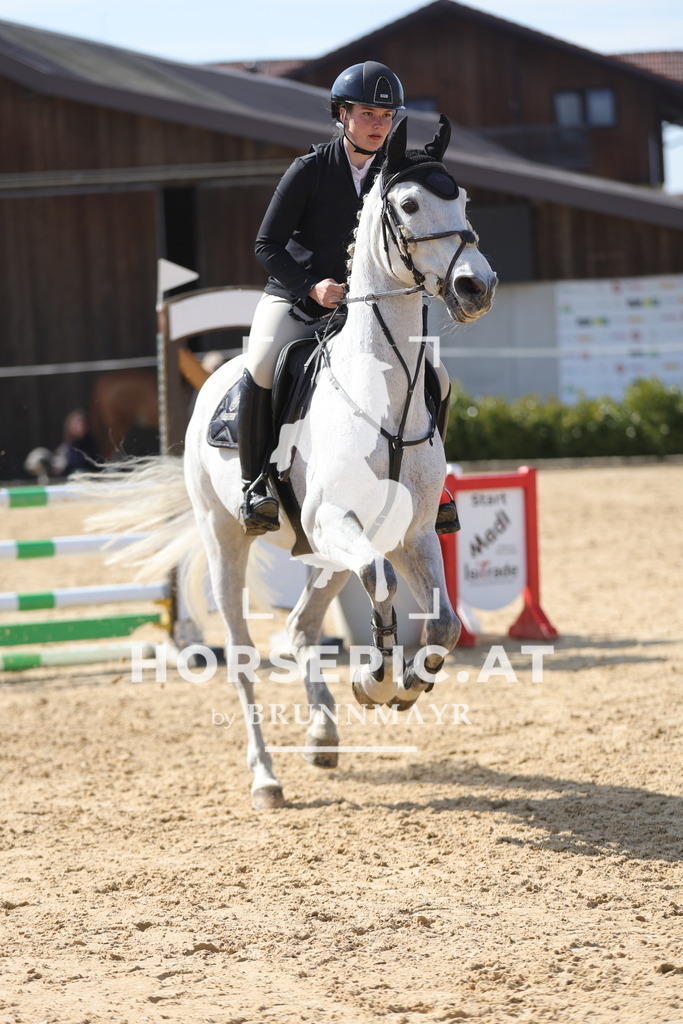 0P6A1688 | Willkommen bei Brunnmayr - Design & Fotografie – Ihrem Spezialisten für Reitturniere und Pferdeveranstaltungen in Oberösterreich, Salzburg und Bayern! Seit über 17 Jahren sind wir leidenschaftlich dabei.