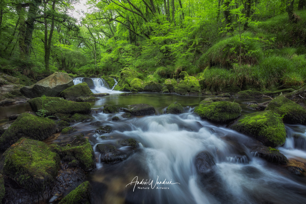 Am verwunschenen Bach | Andre Wandrei - Nature Artworx - Realisiert mit Pictrs.com