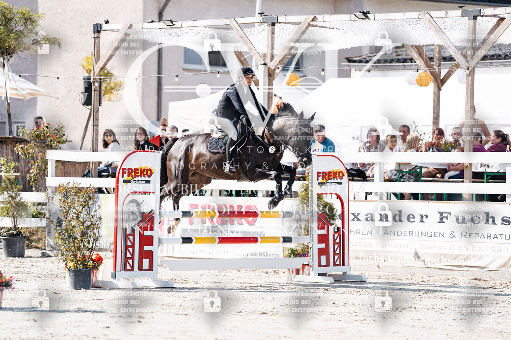 CK907589 | Turnierfotografie Pferdefotografie Trier Rheinland-Pfalz Pferdesport Reitsport Tierfotografie Sportfotografie Pferdevideo Pferdevideografie Equestrianvideography equestrianphotography  - Realisiert mit Pictrs.com