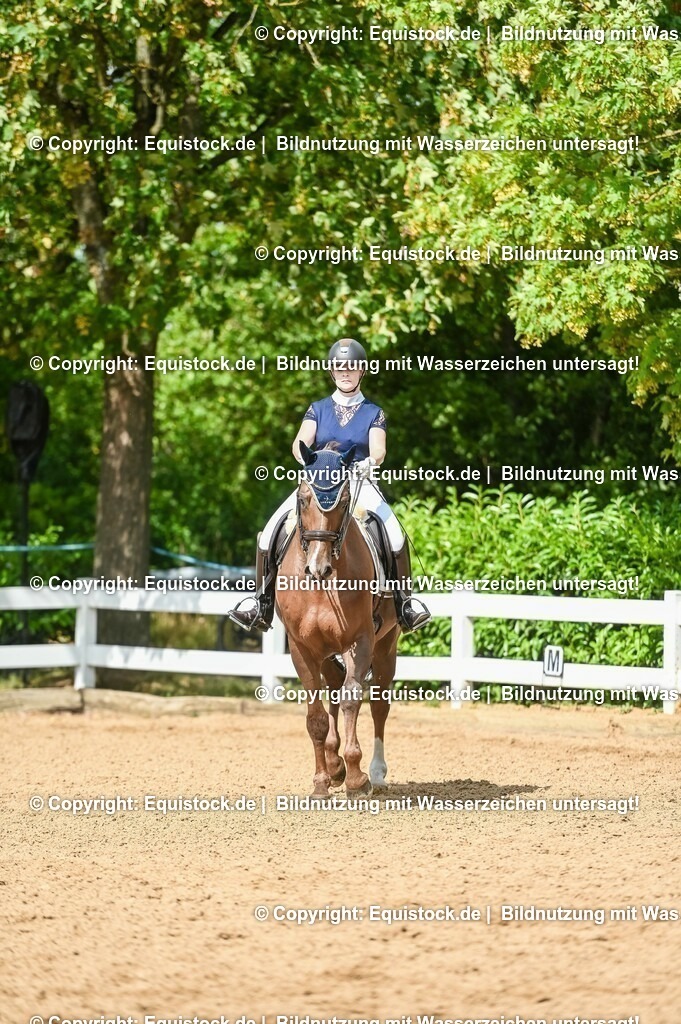 20230716_01_Dressurprüfung Kl.M_0354 | equistock