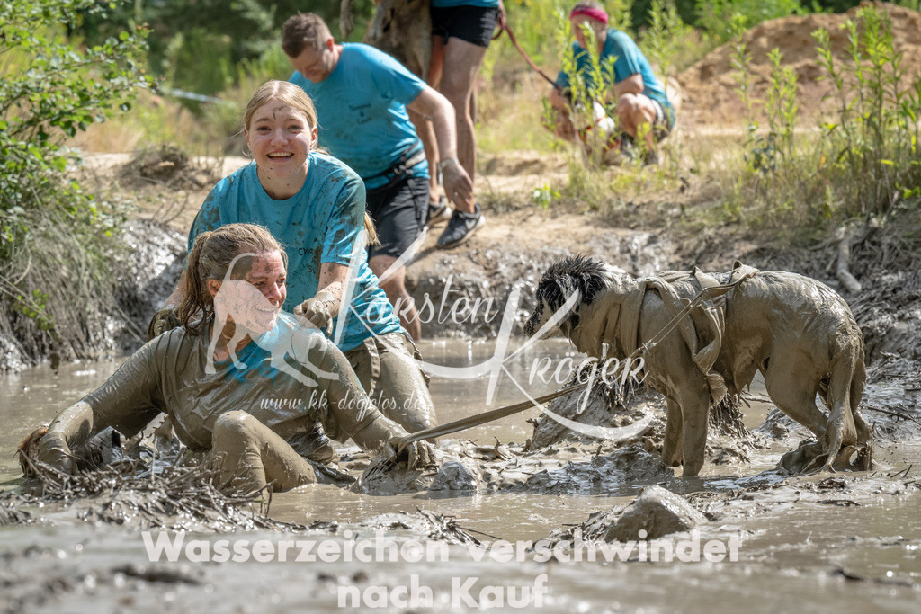 1541_ZZ90471 | kk-dogfotos