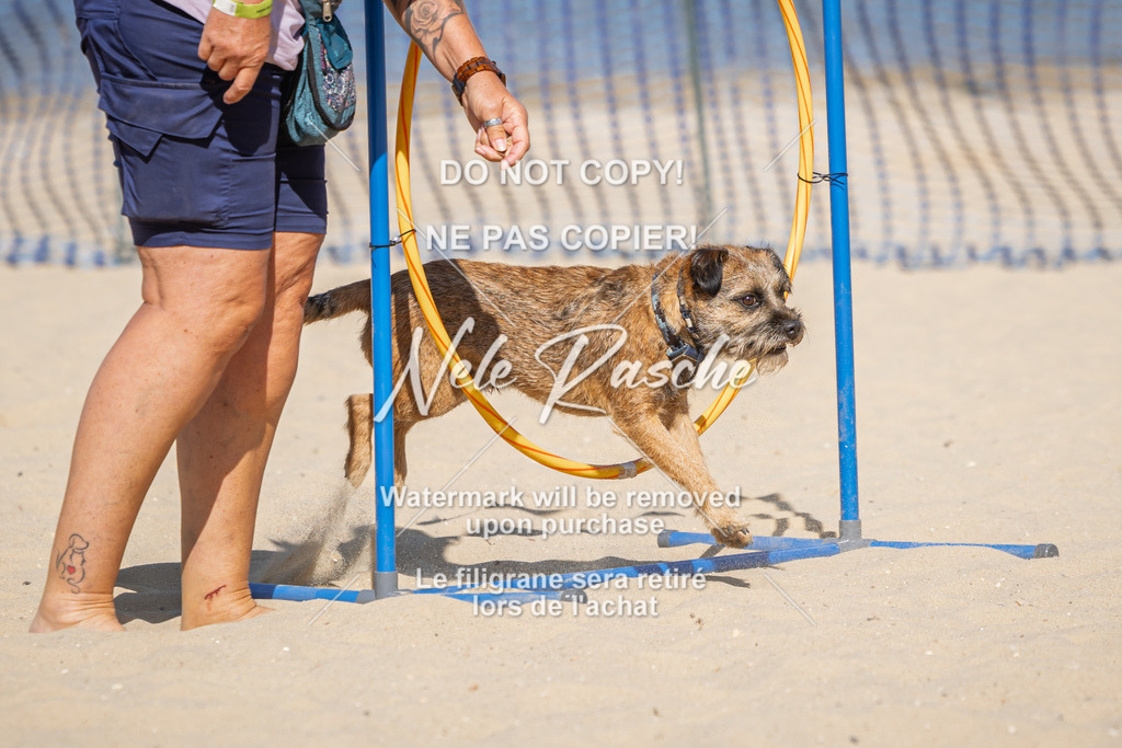 nelerasche_saBeachility_164 | nelerasche