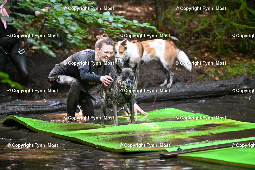 DSC_1774 | Hallo und herzlich Willkommen auf meiner Shop-Seite Fynn Most.

Ich wünsche Dir viel Spaß beim stöbern durch die Bilder, wenn Du Fragen hast oder Bilder vermisst, kannst du mir gerne eine Nachricht schreiben. - Realisiert mit Pictrs.com