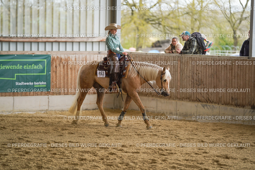 DSC09195 | Pferdegrafie