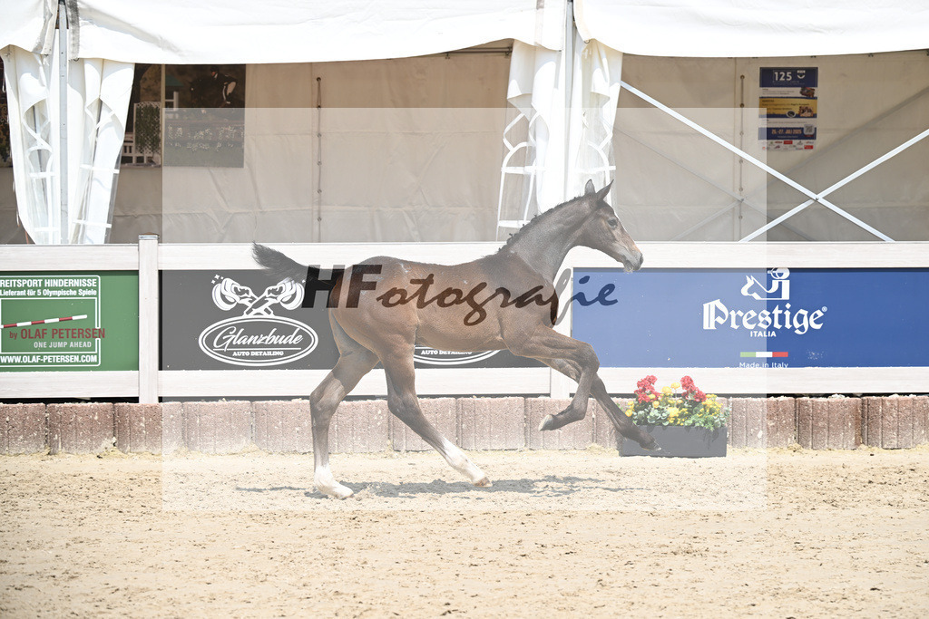 Cornets Balou x Casall_Gross_12250715 | hf-fotografie - Realisiert mit Pictrs.com