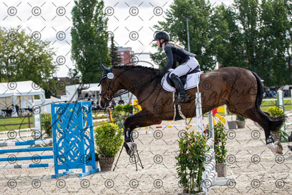 KPT_4786 | andre_photographic