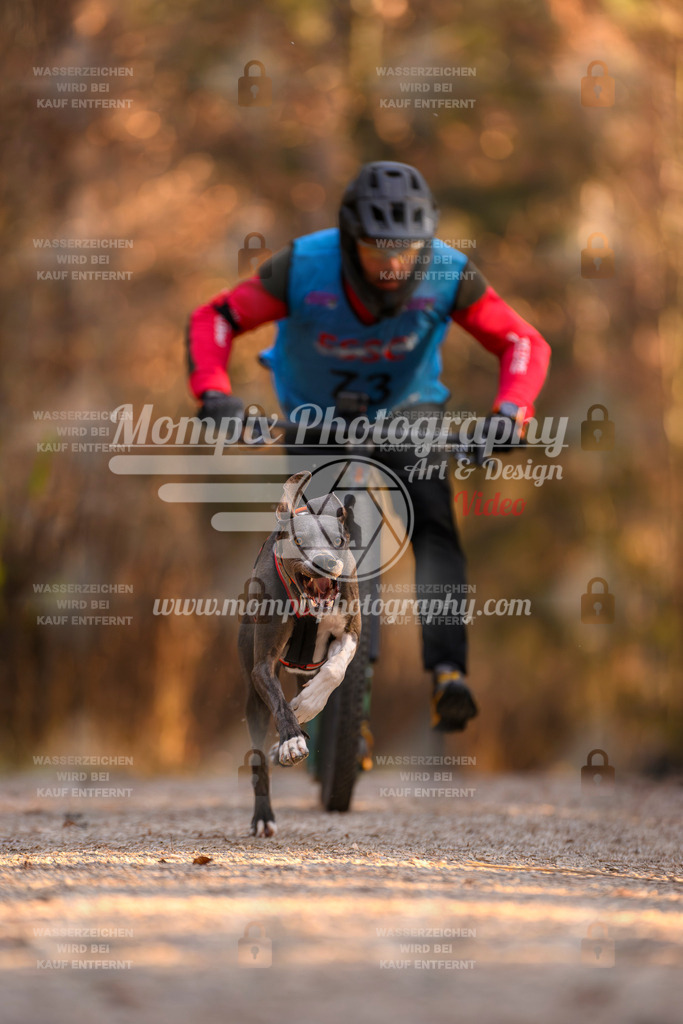 MompixPhotography_DM_AKDM_SO_2025_Scooter-129 | PayLife
