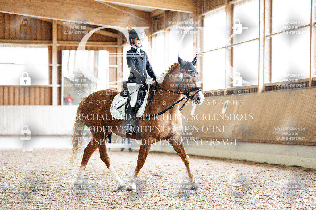 CK900798 | Turnierfotografie Pferdefotografie Trier Rheinland-Pfalz Pferdesport Reitsport Tierfotografie Sportfotografie Pferdevideo Pferdevideografie Equestrianvideography equestrianphotography  - Realisiert mit Pictrs.com