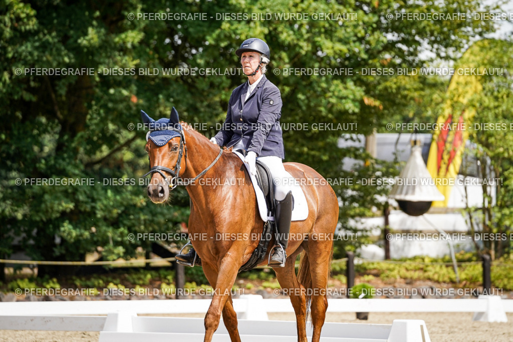 DSC00545 | Pferdegrafie